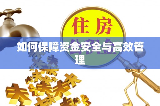 乳山如何保障资金安全与高效管理