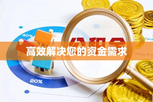 乳山高效解决您的资金需求