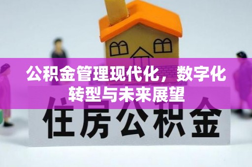 乳山公积金管理现代化，数字化转型与未来展望