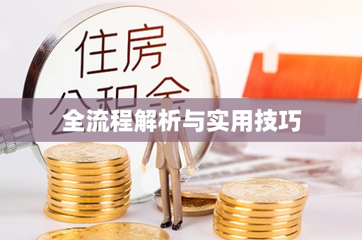 乳山全流程解析与实用技巧