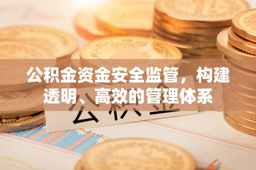 乳山公积金资金安全监管，构建透明、高效的管理体系