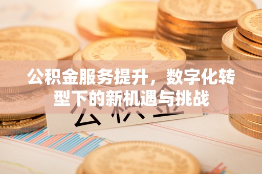 乳山公积金服务提升，数字化转型下的新机遇与挑战