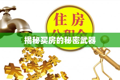 乳山揭秘买房的秘密武器
