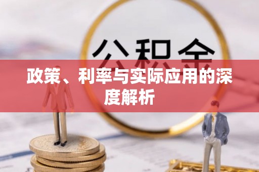 乳山政策、利率与实际应用的深度解析