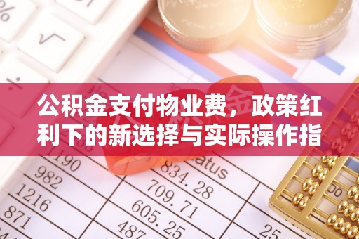 乳山公积金支付物业费，政策红利下的新选择与实际操作指南
