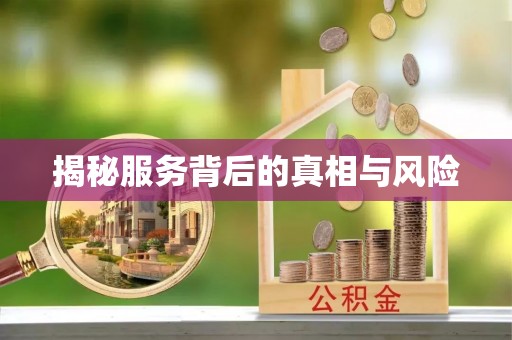 乳山揭秘服务背后的真相与风险