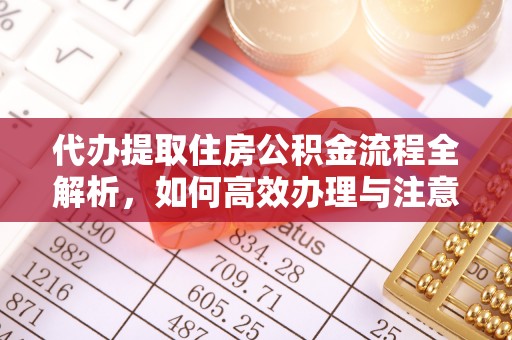 乳山代办提取住房公积金流程全解析，如何高效办理与注意事项