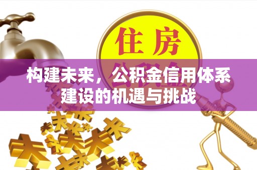 乳山构建未来，公积金信用体系建设的机遇与挑战