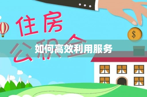 乳山如何高效利用服务