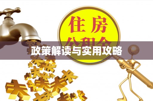 乳山政策解读与实用攻略